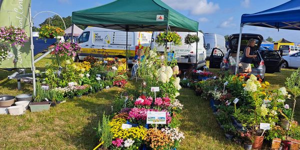 Outdoor flower market with colorful plants under tents.
