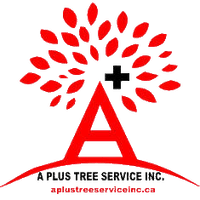 A+ Tree Service Inc
