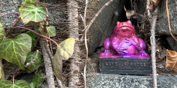 Magenta frog