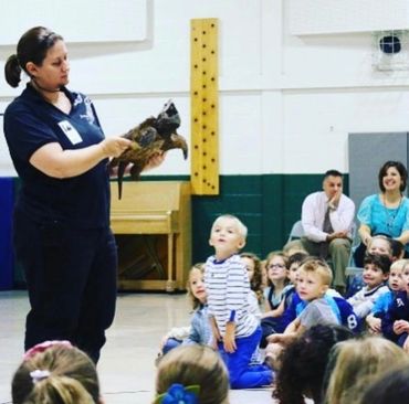 Snapping turtle
Anti Bullying
Kindness
Through Another's Eyes
School Assembly