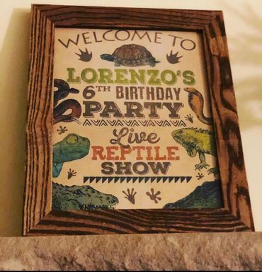 Party Decorations
Reptile Party
Animal party
Reptile birthday party
Birthday decorations