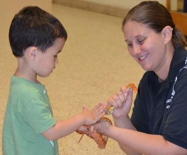School Assembly
Scout Program
Birthday party
Corn Snakes
Snake
Reptile show