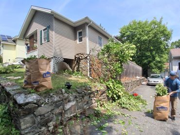 Our process for small tree removal, prunings of bushes, and trimmings