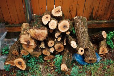 Firewood rounds processed and stacked for the customer to keep.