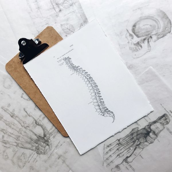 Clipboard with notes and anatomical drawings of a spinal column