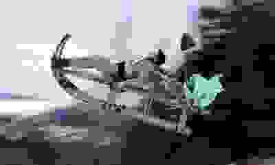 Failed Recreation of John Lamme's historic 1922 "Red Rambler" run down Main Street hill.