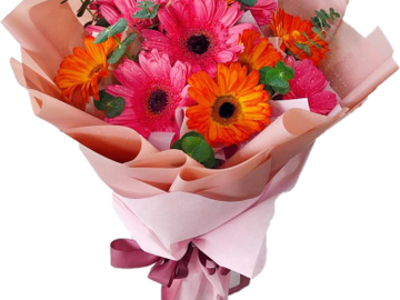 A vibrant bouquet of pink and orange gerbera daisies wrapped in soft pink paper.