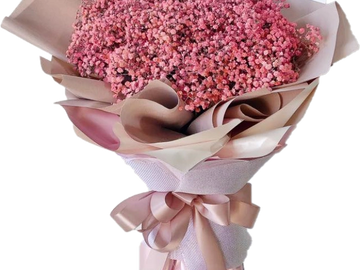 A bouquet of pink baby's breath wrapped in pastel paper.
