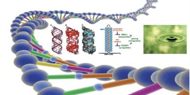 3D DNA strand with detailed molecular structures and water ripple image.
