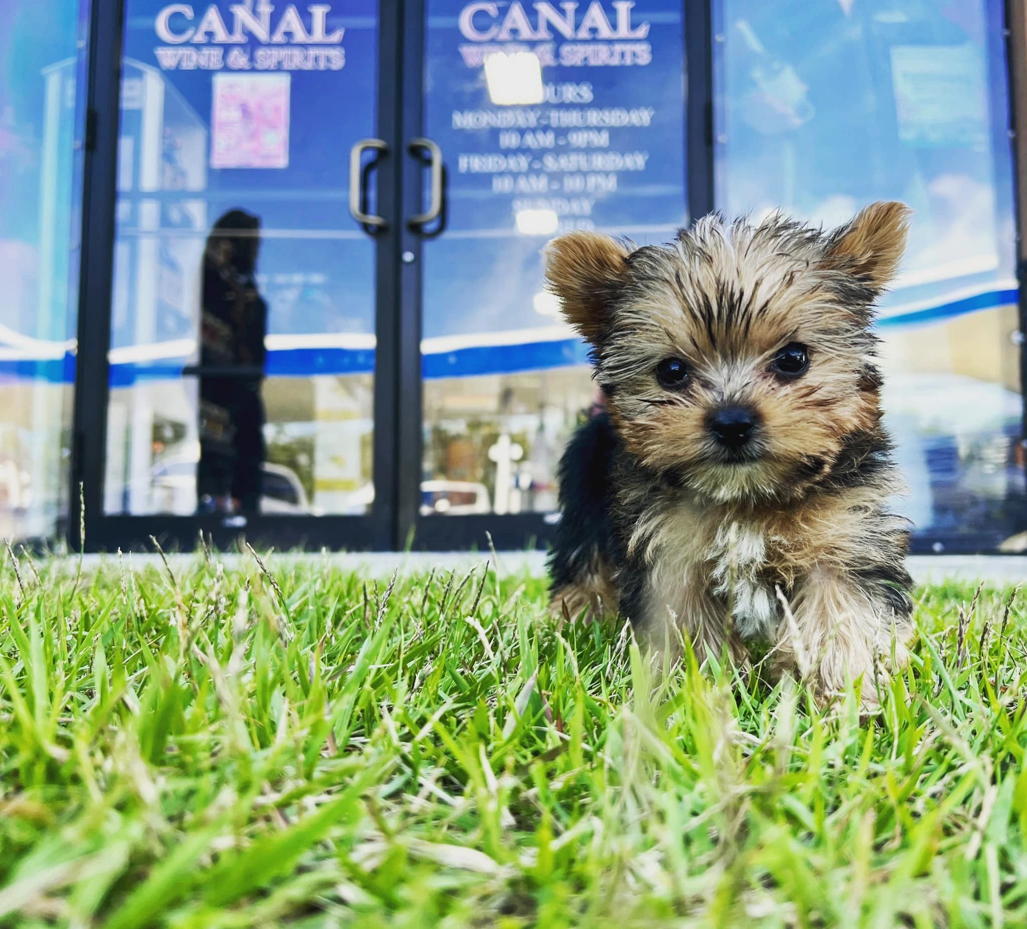 Our mascot Archie Titeaux Moore!