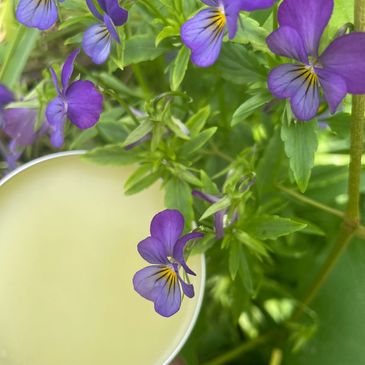 VIOLET SALVE