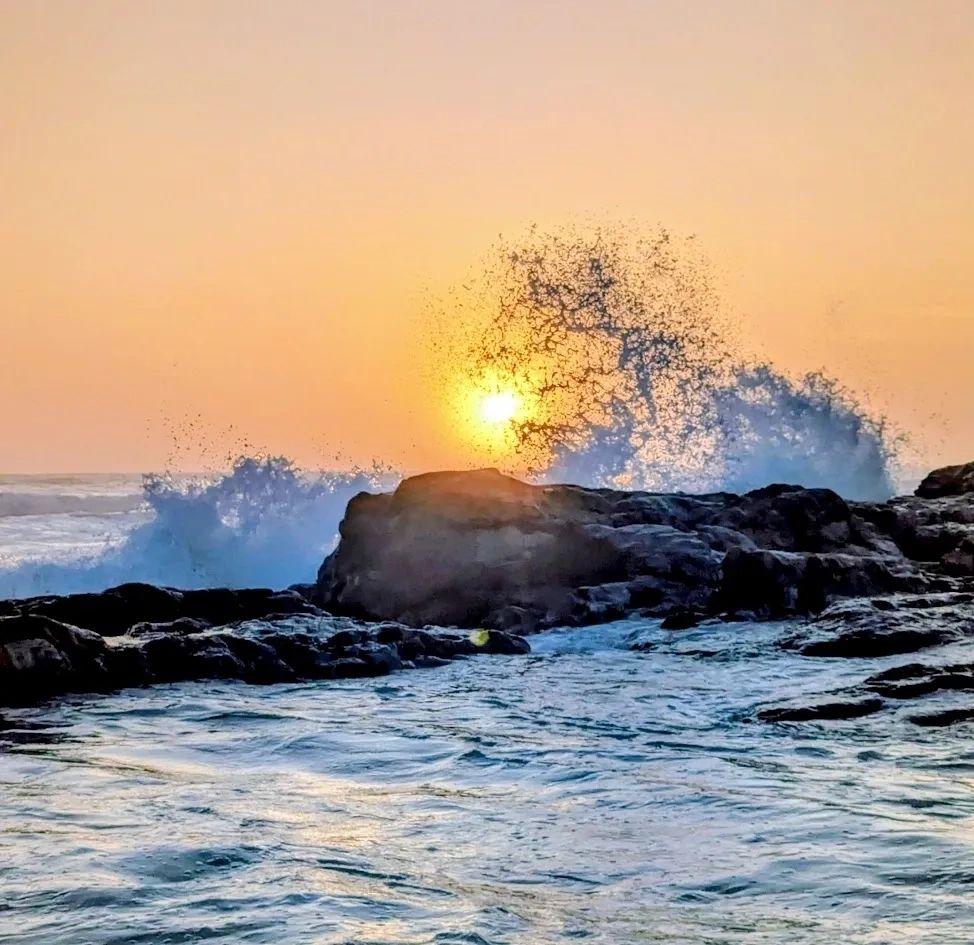 Sunrise at Potato Point with sunlight shining through a clear wave rising over ocean rocks.