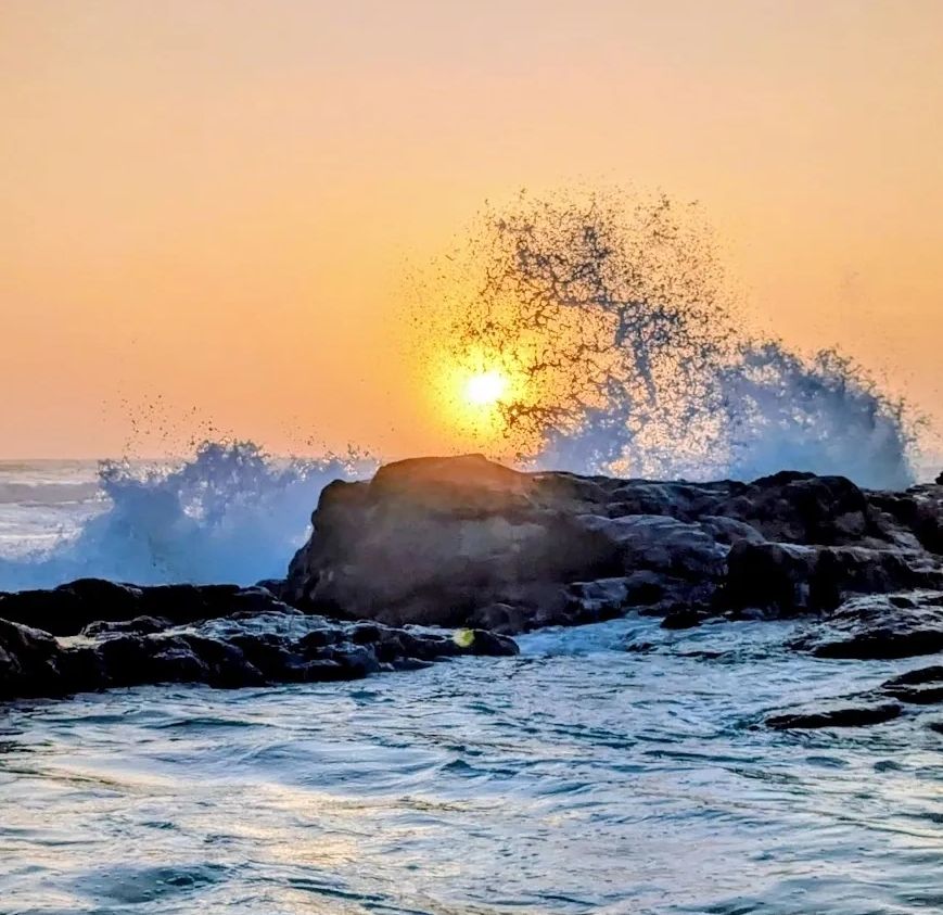 Sunrise at Potato Point with sunlight shining through a clear wave rising over ocean rocks.