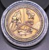 Challenger Missions Complete Medal