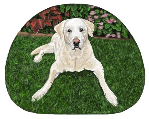 Benny the white Labrador Retriever