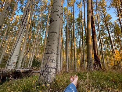 Time Spent Decompressing and Re-Connecting in Nature