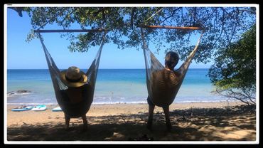 Two people relaxing in hammocks by the beach under leafy trees.