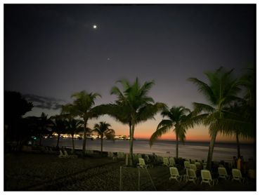 Palm trees and lounge chairs on a beach at dusk with a crescent moon.