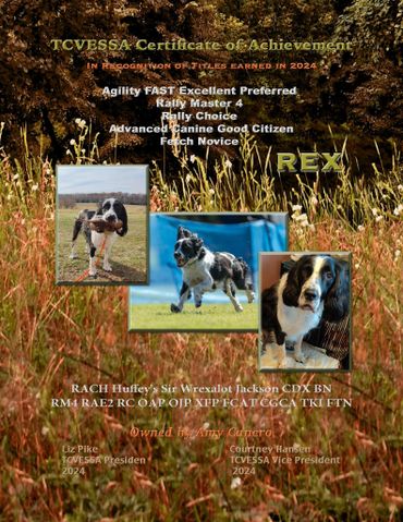 Certificate celebrating Rex's canine achievements with photos of Rex in action and at rest.