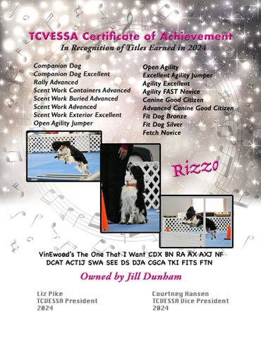 Certificate honoring Rizzo, a dog, for titles earned in 2024 with agility and scent work achievements.