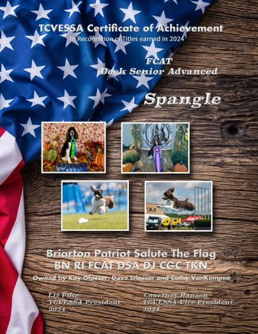 Certificate honoring Spangle's advanced dock titles with patriotic American flag background.