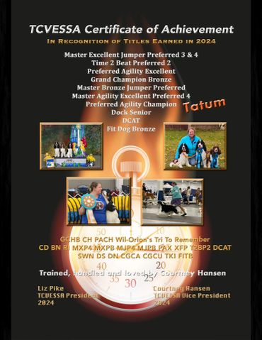 Certificate of Achievement for dog Tatum with multiple agility and obedience titles in 2024.