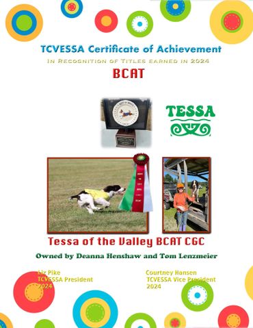 Certificate honoring Tessa of the Valley for BCAT achievement in 2024.