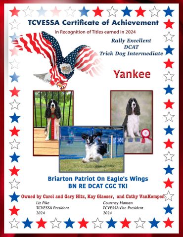 Certificate honoring Yankee, a dog with multiple titles in 2024, featuring patriotic eagle and stars.