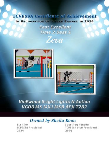 Certificate honoring Zeva's fast agility achievements in 2024.