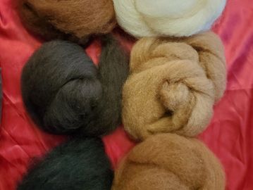 Hand-combed top alpaca fiber