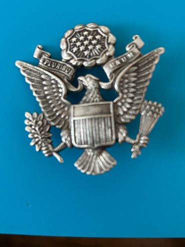 Vintage US Air Force Male Officer's Service Cap Device.