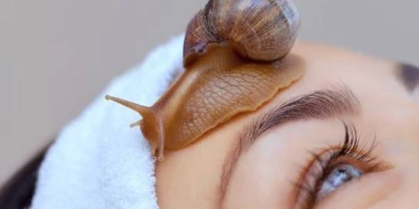 A snail crawling on a person's forehead.