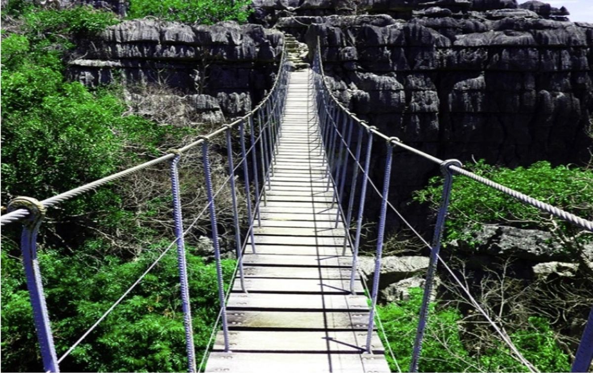 image1