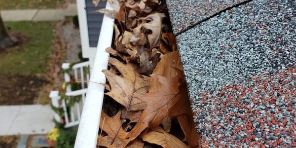 Clogged Gutter