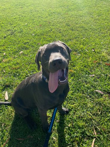 dj event orange county, wedding dj southern california, viibz dj lighting sound high energy event DJ