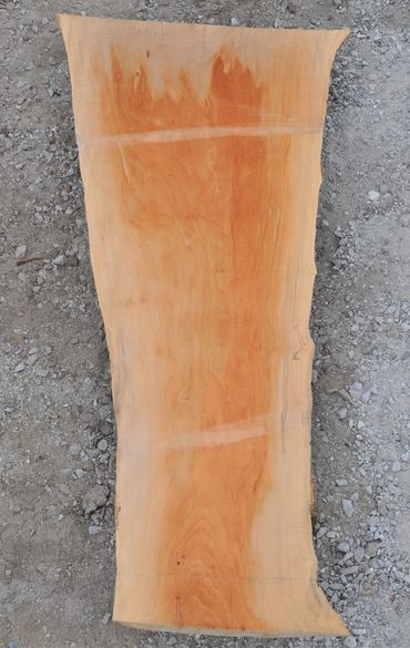 Sycamore Wood Slabs