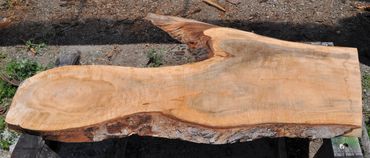 Maple Wood Slab