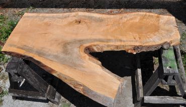 Maple Wood Slab