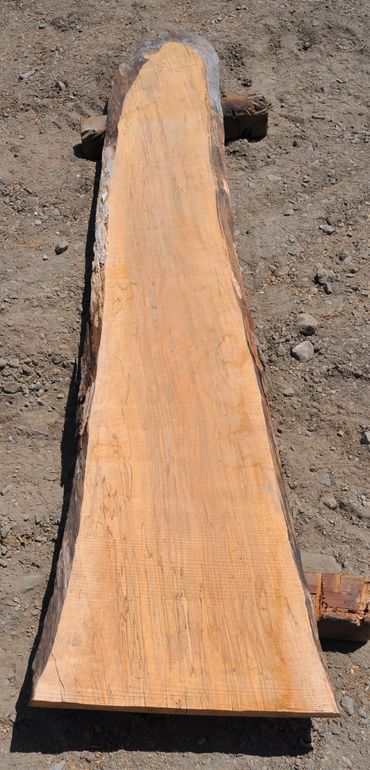 Maple Wood Slab
Ambrosia Maple