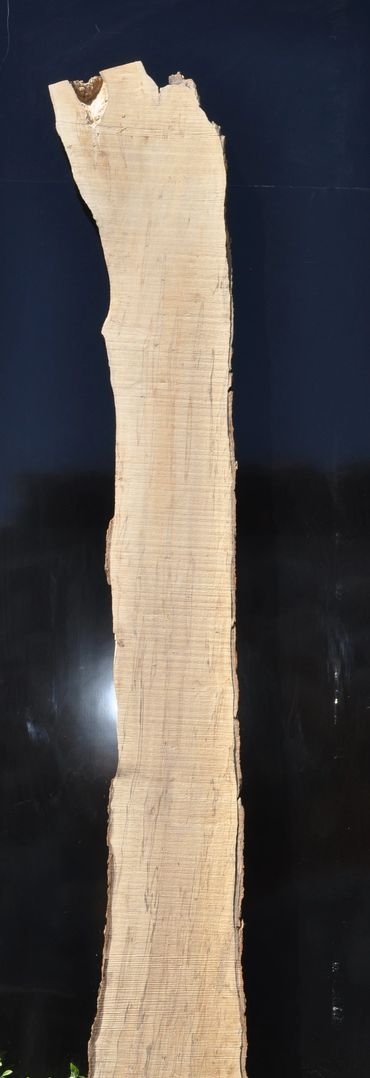 Ambrosia Maple
Maple
Wood Slabs