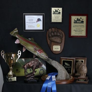Award winning rainbow trout