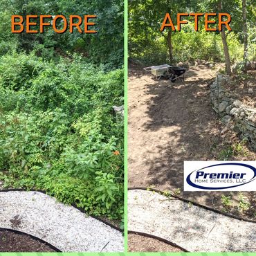 before and after images of land clearing of invasive overgrowth
