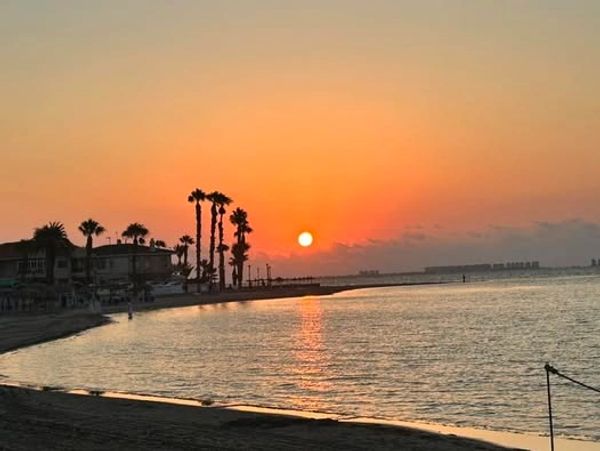 Sunset over a calm beach with silhouetted palm trees and buildings.
