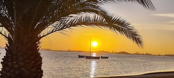 Sunset view with a sailboat and palm tree by the water.