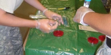 People handling laboratory samples on a green table.