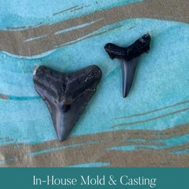Two natural shark teeth selected for an in-house mold.