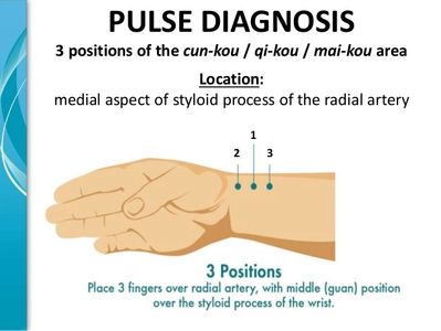 Diagram showing three pulse diagnosis positions on the wrist's radial artery.