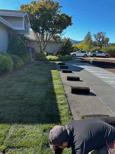 Installation of the new lawn in the best possible way