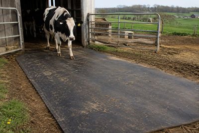 Barn, Farm, and Agriculture Mats