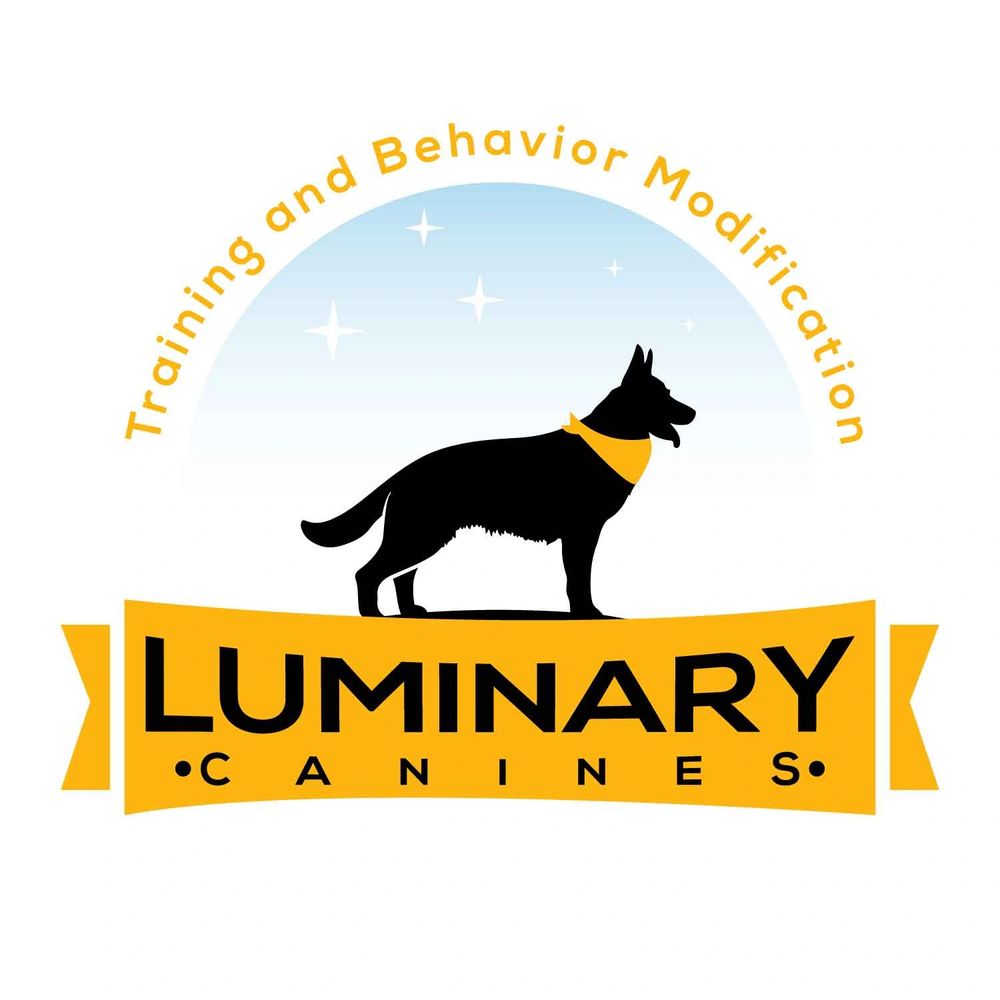 Certified Trainer Specialized in Behavior Modification and Dog Training